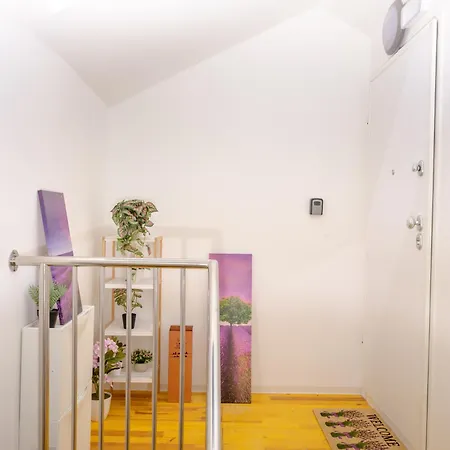 Apartman Seaview Roberta *